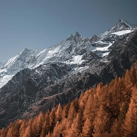 Helvetia Appartement-fewo Nr- 2 By Interhome Saas-Fee